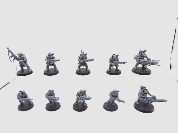 Neophyte Hybrids