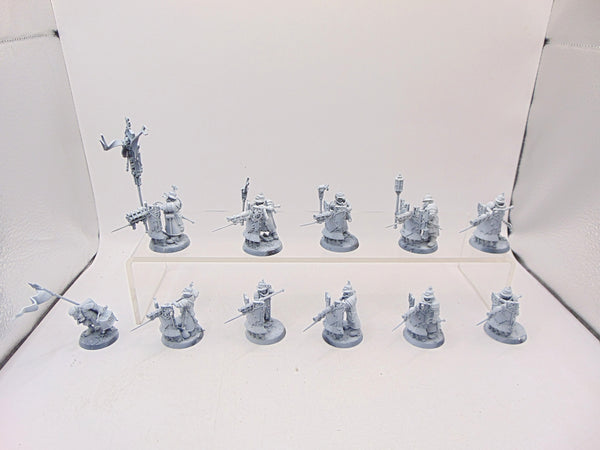 Freeguild Fusiliers