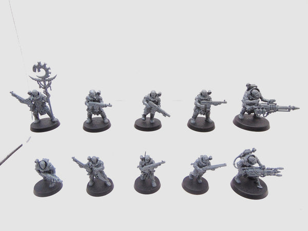 Neophyte Hybrids