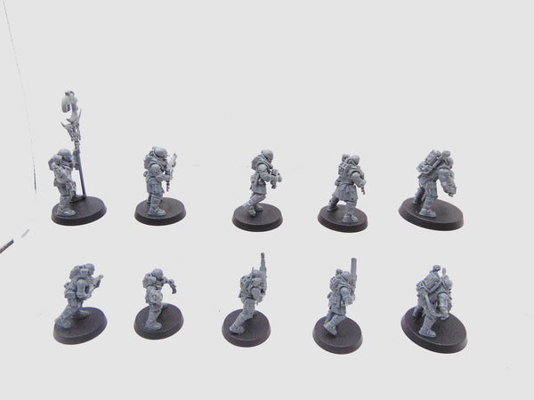 Neophyte Hybrids