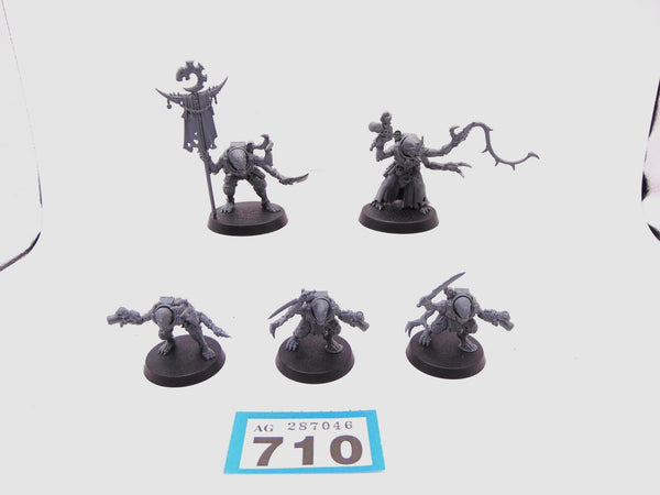 Acolyte Hybrids