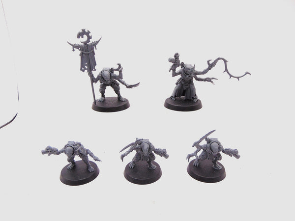 Acolyte Hybrids