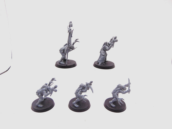 Acolyte Hybrids