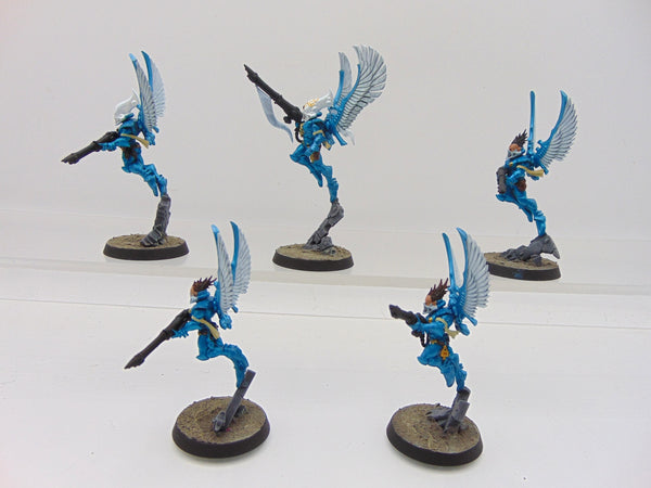 Swooping Hawks