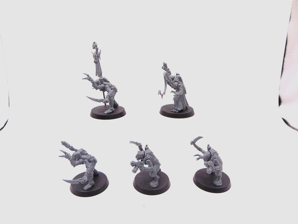 Acolyte Hybrids
