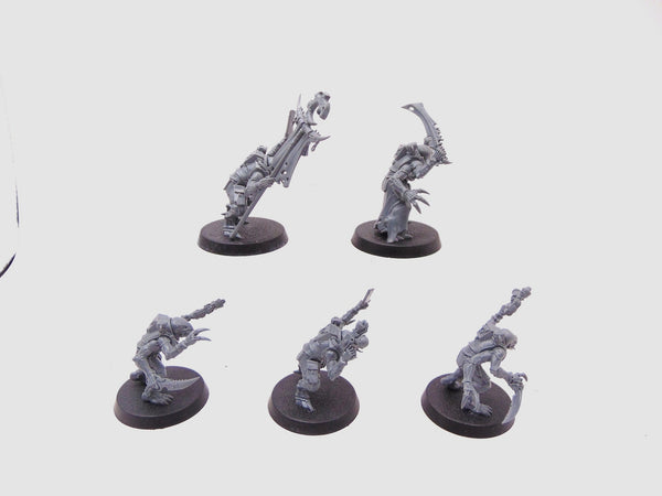 Acolyte Hybrids