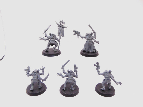 Acolyte Hybrids