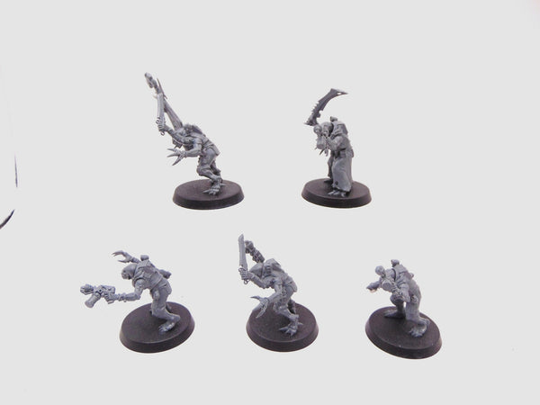 Acolyte Hybrids