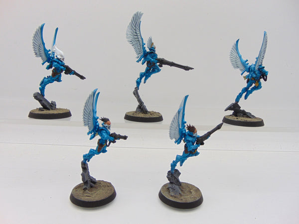 Swooping Hawks