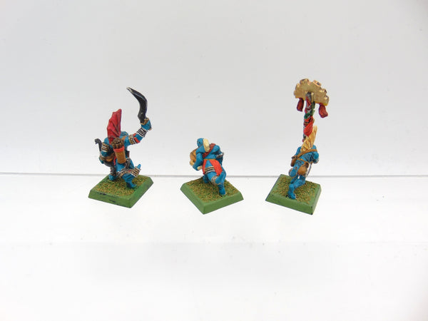 Skink Command