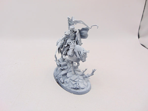 Freeguild Cavalier Marshal