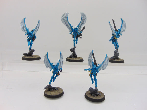 Swooping Hawks