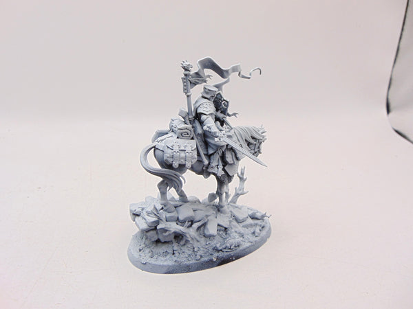 Freeguild Cavalier Marshal
