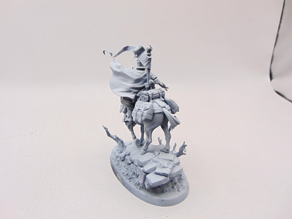 Freeguild Cavalier Marshal
