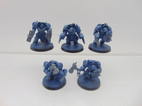 Wolf Guard Terminators