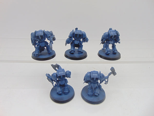 Wolf Guard Terminators