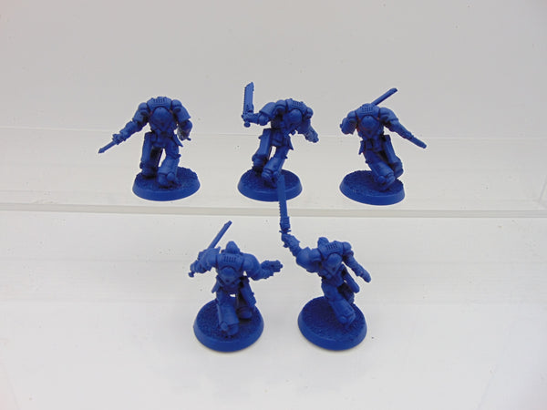 Assault Intercessors