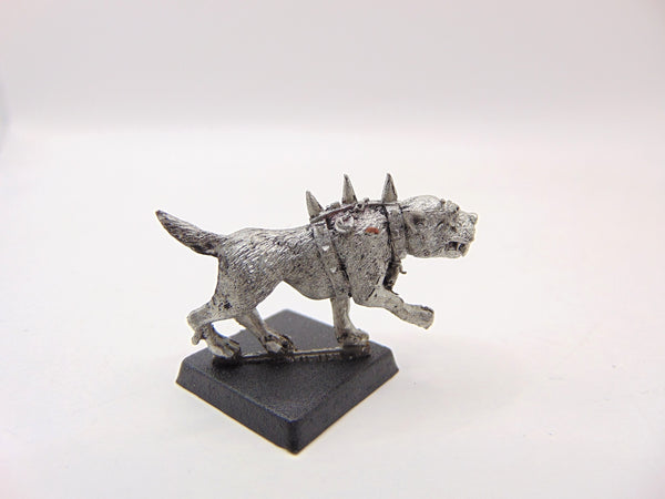 Witch Hunter War Hound