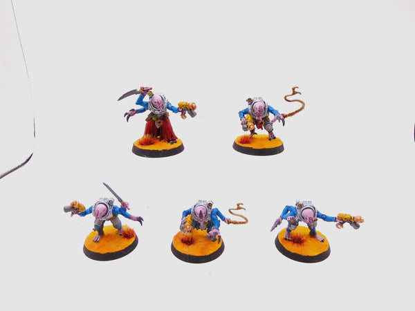 Acolyte Hybrids
