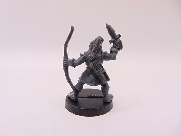 Torallion Leafstar - Advanced Heroquest Hero