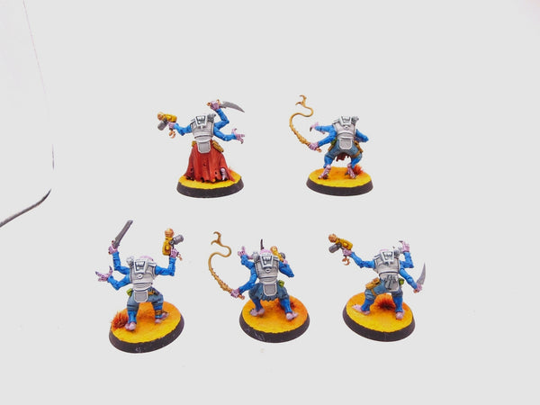 Acolyte Hybrids
