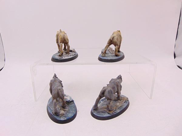 Frost Sabres