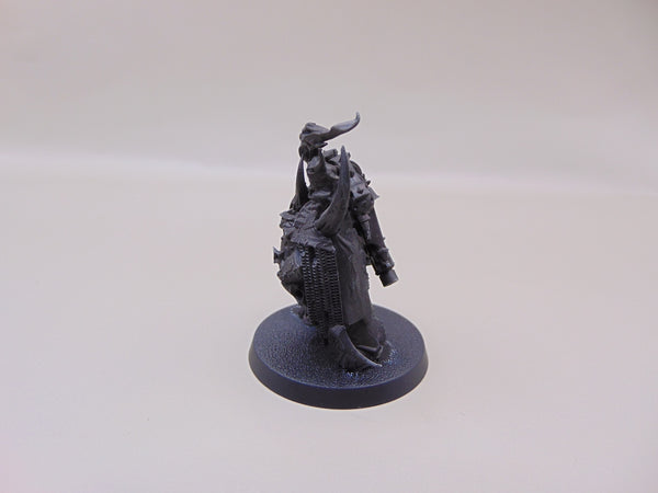Plague Marine Champion