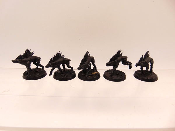 Kroot Hounds