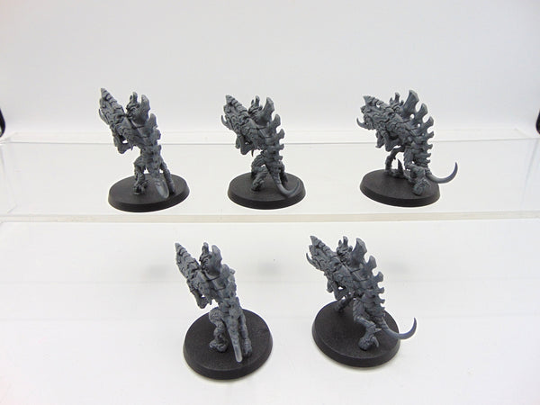 Barbgaunts
