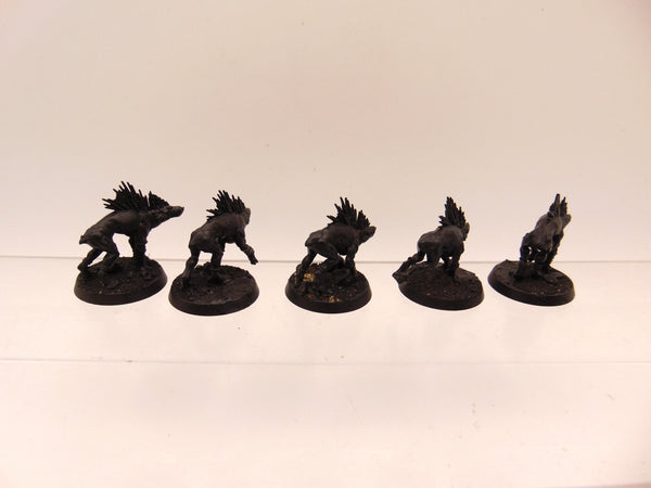Kroot Hounds