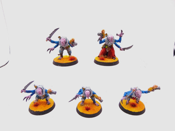 Acolyte Hybrids
