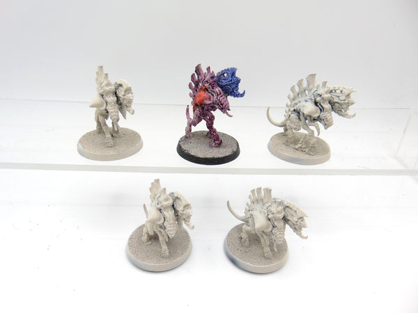 Barbgaunts