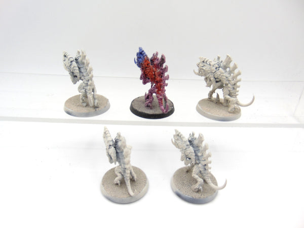 Barbgaunts