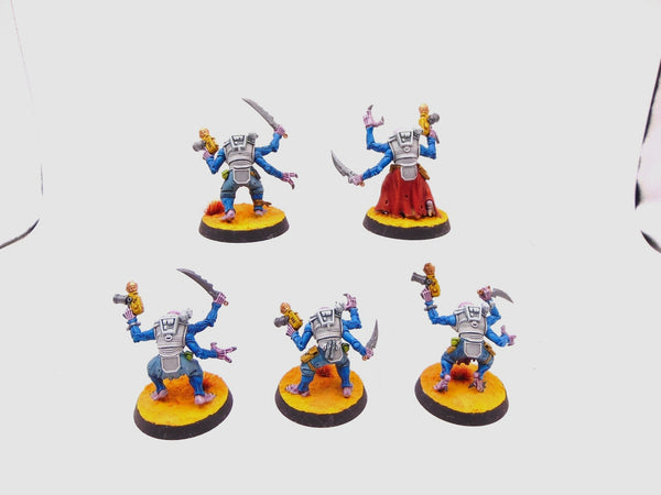 Acolyte Hybrids