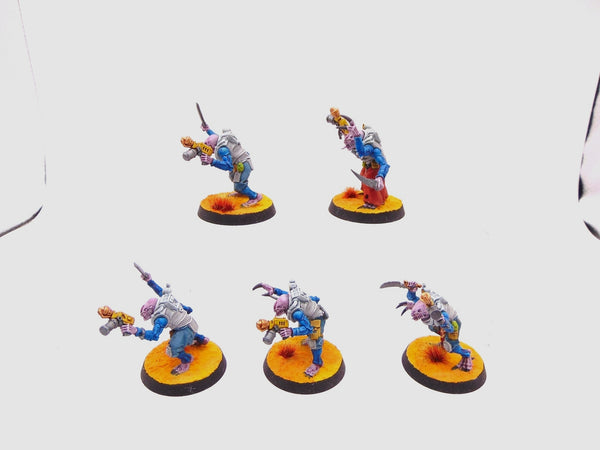 Acolyte Hybrids