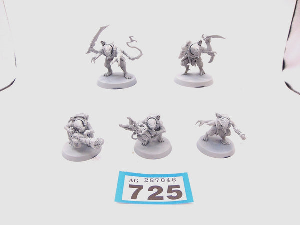 Acolyte Hybrids