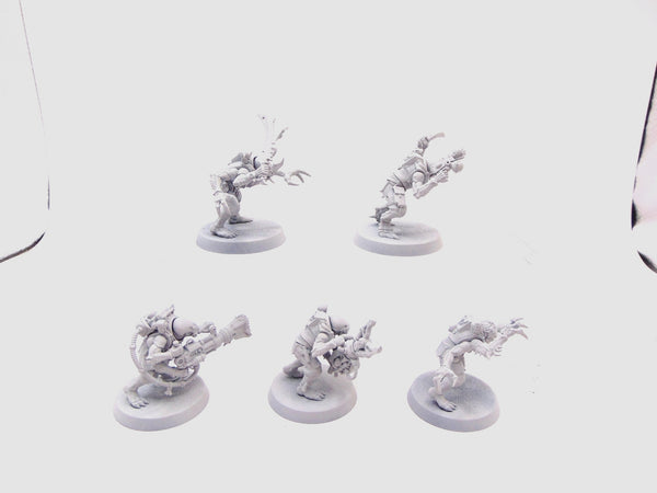 Acolyte Hybrids
