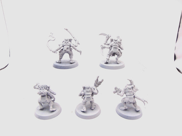 Acolyte Hybrids