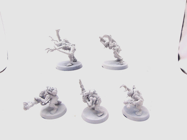 Acolyte Hybrids