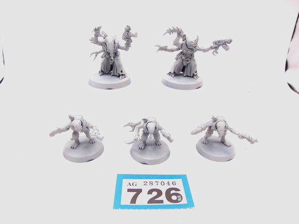 Acolyte Hybrids