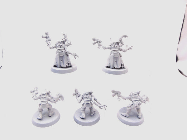 Acolyte Hybrids