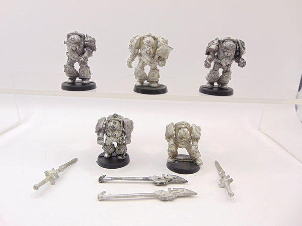 Grey Knight Terminators