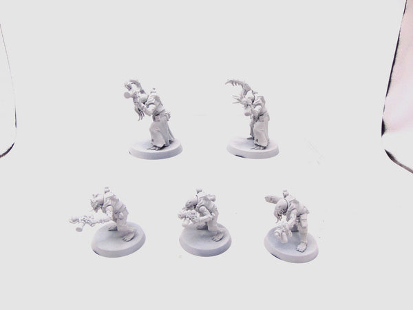 Acolyte Hybrids