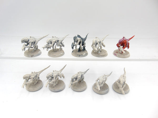 Termagants