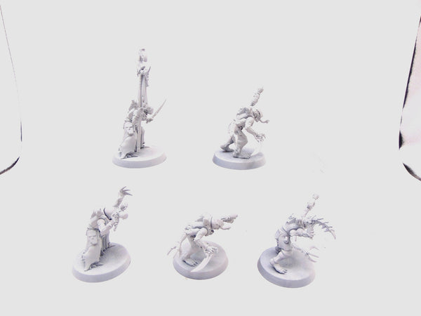 Acolyte Hybrids