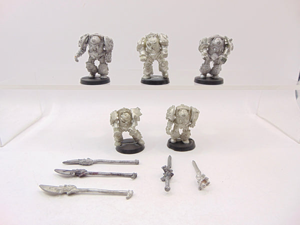 Grey Knight Terminators