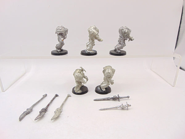 Grey Knight Terminators