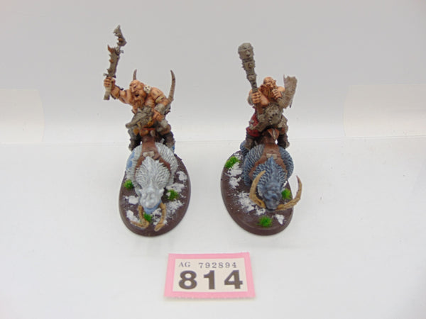 Mournfang Cavalry Pack