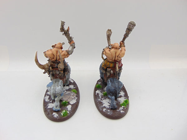 Mournfang Cavalry Pack