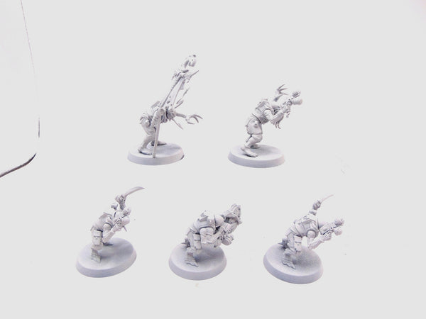 Acolyte Hybrids